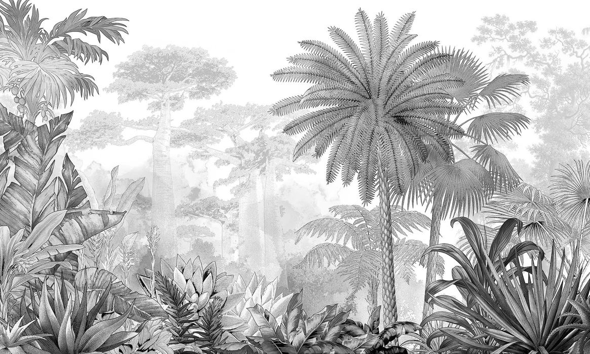Giungla tropicale – carta da parati adesiva Dhécora Wall